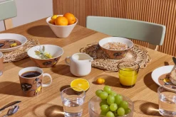 Astiat^Moomin Arabia Muumi kulho 15 cm Haisuli vauhdissa