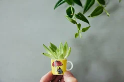 Astiat^Moomin Arabia Muumi minimukisetti 6 kpl klassikot