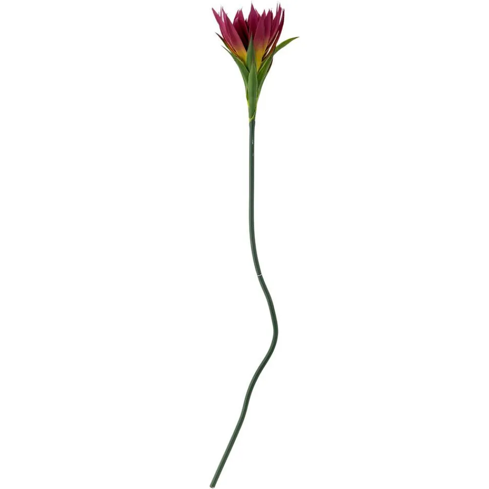 Koriste-Esineet^Bloomingville koristeoksa Lily violetti