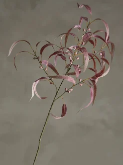 Koriste-Esineet^Bloomingville koristeoksa Eucalyptus punainen