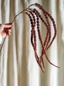 Koriste-Esineet^Bloomingville koristeoksa Foxtail punaruskea