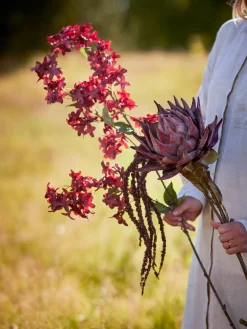 Koriste-Esineet^Bloomingville koristeoksa Protea violetti