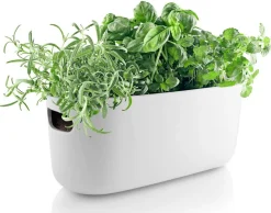 Maljakot Ja Ruukut^Eva Solo Altakasteleva yrttilaatikko valkoinen