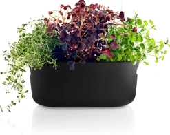 Maljakot Ja Ruukut^Eva Solo Altakasteleva yrttilaatikko musta