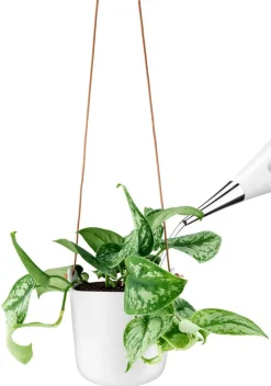 Maljakot Ja Ruukut^Eva Solo Amppeli 15 cm