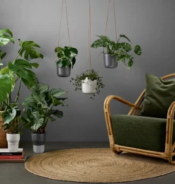 Maljakot Ja Ruukut^Eva Solo Amppeli 15 cm