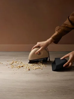 Puhdistus Ja Siivous^Eva Solo Sweep rikkasetti