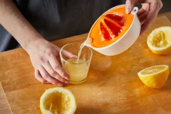 Keittiötarvikkeet^Fiskars Functional Form Sitruspuristin