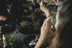 Paistoastiat^Fiskars Norden Pata 6 l