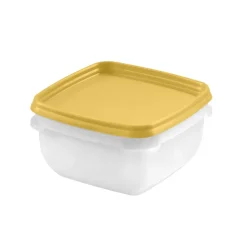 Ruoansäilytys Ja Järjestys^Gastromax pakastusrasia 5 x 0,5 L eri värejä