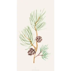 Kertakäyttö^IB Laursen lautasliina männynoksa kävyillä 16 kpl/pkt