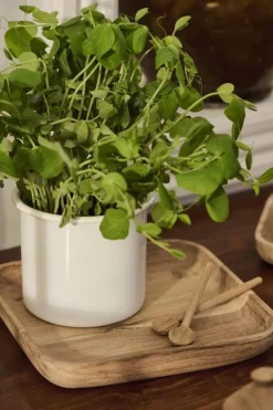 Keittiötarvikkeet^IB Laursen suolalusikka acacia wood