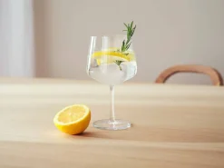 Astiat^Iittala Essence coctaillasi 63 cl 2 kpl