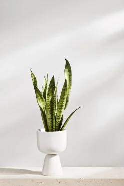 Maljakot Ja Ruukut^Iittala Nappula Ruukku 230x155 mm valkea