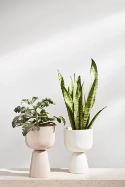 Maljakot Ja Ruukut^Iittala Nappula Ruukku 260x155 mm beige