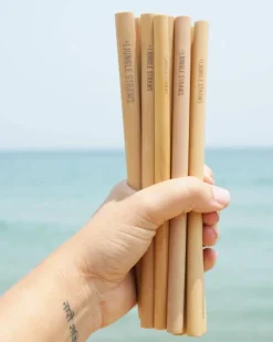 Aterimet^Jungle Straw Bambupillisetti 6 kpl