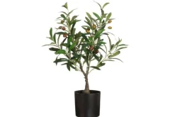 Koriste-Esineet^4Living oliivipuu ruukussa 60 cm