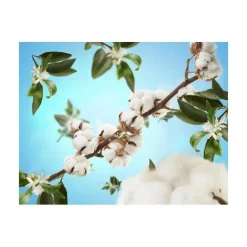 Tuoksukynttilät Ja Huonetuoksut|Kynttilät Ja Huonetuoksut^Maison Berger huonetuoksu Cotton Caress 100 ml