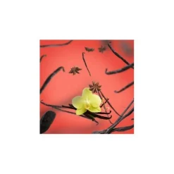 Tuoksukynttilät Ja Huonetuoksut|Kynttilät Ja Huonetuoksut^Maison Berger huonetuoksu Vanilla Gourmet 100 ml