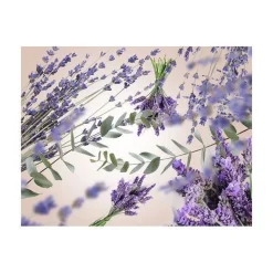 Tuoksukynttilät Ja Huonetuoksut|Kynttilät Ja Huonetuoksut^Maison Berger huonetuoksu Lavender Fields 100 ml
