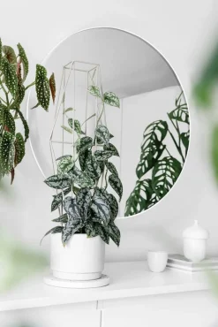 Kellot Ja Peilit^Mirrors and More peili Mila Ø50 cm valkoinen