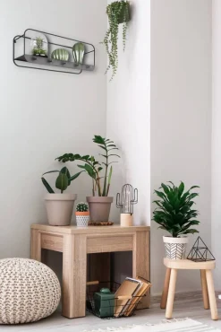 Hyllyt Ja Telineet|Huonekalut^Mirrors and More seinähylly Liandra musta