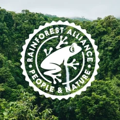 Deli^Nordqvist lehtitee Sulosydän