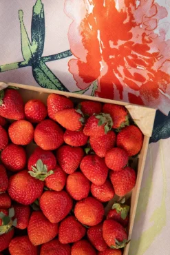 Keittiötekstiilit^Pentik pöytäliina Huvila 145x250 cm v.oranssi