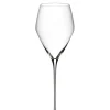 Astiat^Riedel Veloce Champagne Wine Glass samppanjalasi 2 kpl
