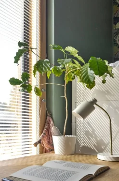 Sisustusvalaisimet^Sessak pöytävalaisin Darcel mattavalkoinen