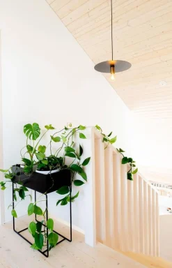 Sisustusvalaisimet^Sessak riippuvalaisin Morgan musta