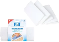 Puhdistus Ja Siivous^Sini Hankaussieni laudepesuriin