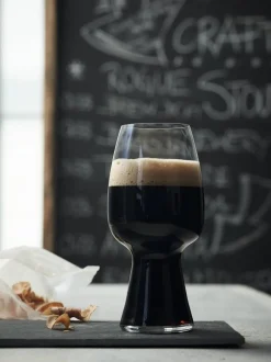 Astiat^Spiegelau Olutlasi Craft Stout 2 kpl