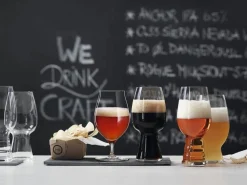 Astiat^Spiegelau Olutlasi Craft tasting Kit 4 kpl