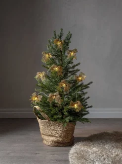 Koriste- Ja Kausivalot^Star Trading valosarja Bowie 225 cm kulta