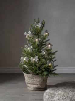 Koriste- Ja Kausivalot^Star Trading valosarja Bowie 225 cm hopea