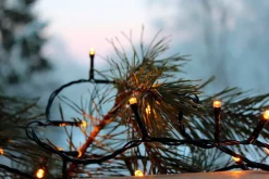 Koriste- Ja Kausivalot^Star Trading valosarja Golden Warm White 40 LED musta 2,8m