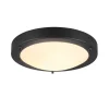 Sisustusvalaisimet^Trio Lighting kattovalaisin Condus H2O E27 mattamusta