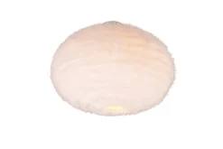 Sisustusvalaisimet^Trio Lighting kattovalaisin Furry 2xE27 hiekanvalkoinen