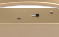 Sisustusvalaisimet^Trio Lighting kattovalaisin Darvin LED kulta