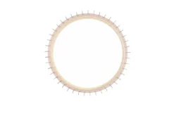 Sisustusvalaisimet^Trio Lighting kattovalaisin Monte LED 60 cm puu