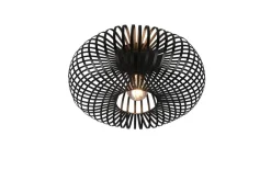 Sisustusvalaisimet^Trio Lighting kattovalaisin Johann 40 cm E27 mattamusta