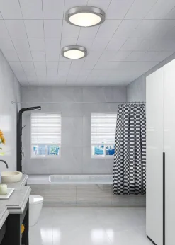 Sisustusvalaisimet^Trio Lighting kattovalaisin Condus H2O E27 kromi