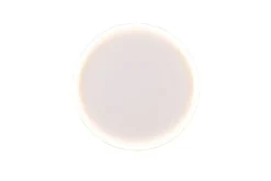 Sisustusvalaisimet^Trio Lighting LED kattovalaisin Rotonda pyöreä mattavalkoine