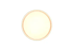 Sisustusvalaisimet^Trio Lighting LED kattovalaisin Felis 40 cm mattavalkoinen