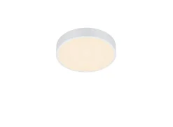 Sisustusvalaisimet^Trio Lighting LED kattovalaisin Waco 30 cm mattavalkoinen