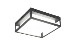 Ulkovalaisimet^Trio Lighting LED kattovalaisin Witham antrasiitti