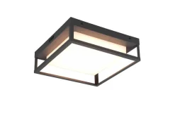 Ulkovalaisimet^Trio Lighting LED kattovalaisin Witham antrasiitti