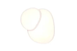 Sisustusvalaisimet^Trio Lighting LED kattovalaisin Rise 43 cm mattavalkoinen