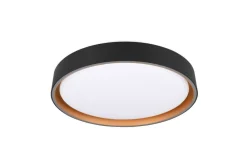 Sisustusvalaisimet^Trio Lighting LED kattovalaisin Felis 40 cm musta/kulta